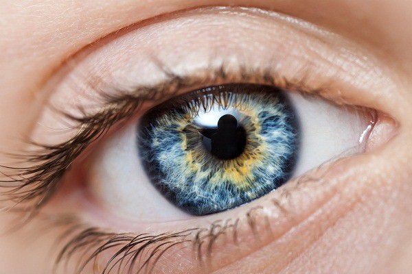 Mắt người bình thường có khả năng phân biệt nhiều màu sắc